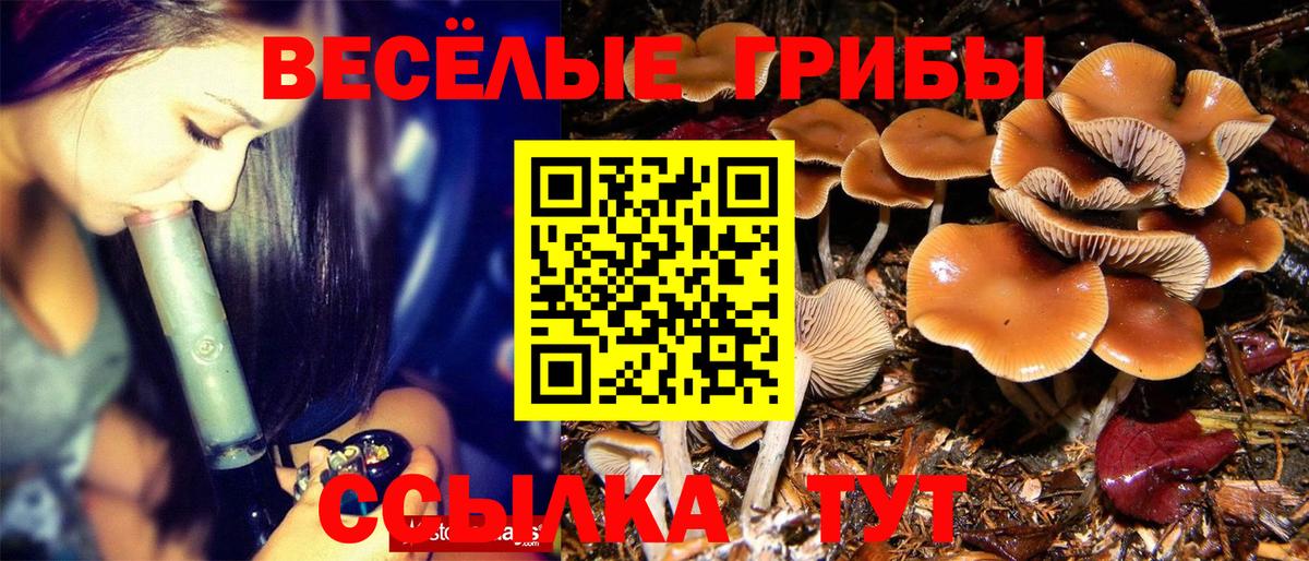 Псилоцибиновые грибы прущие грибы Котовск